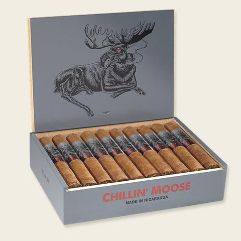 Foundry Chillin Moose Corona Box